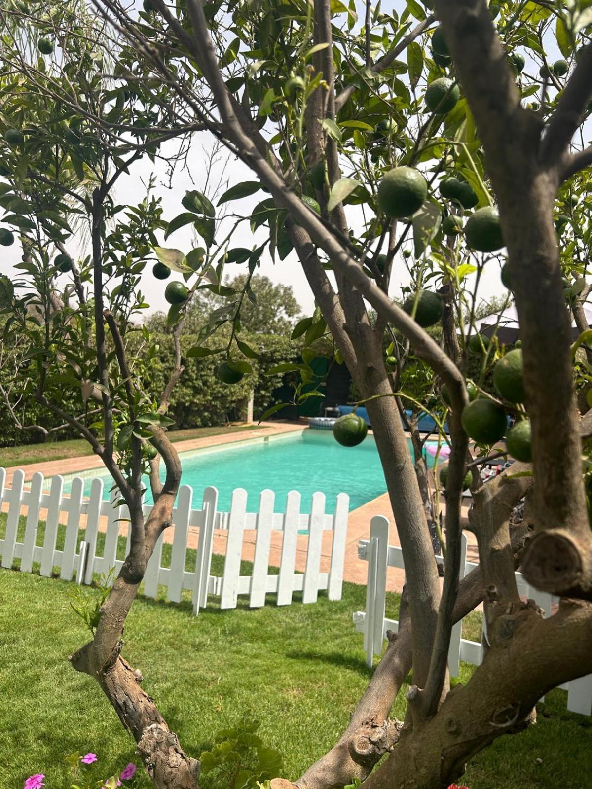 Villa Orangeraie Agadir Luaran gambar